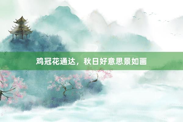 鸡冠花通达，秋日好意思景如画